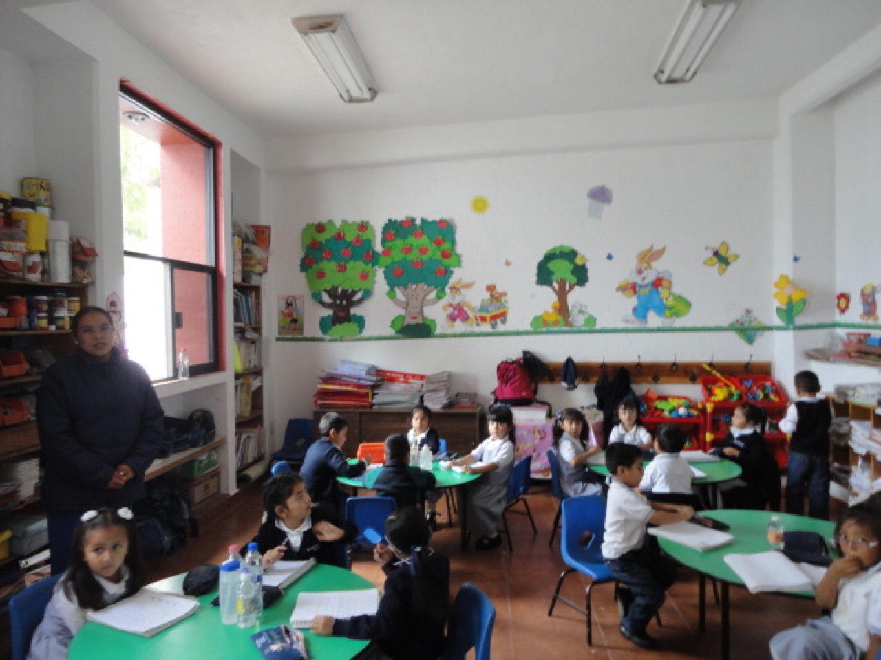 Imagen 9