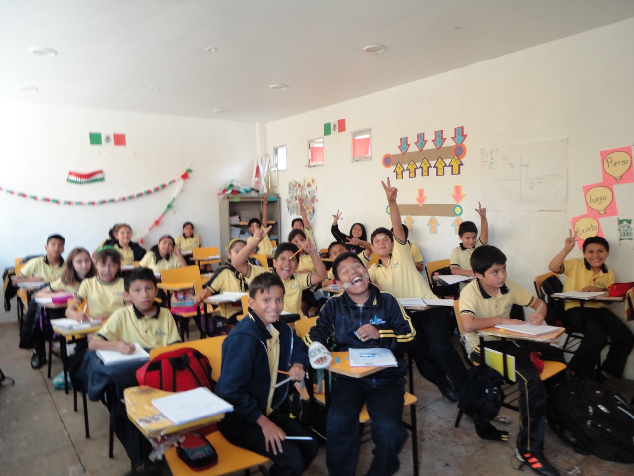 Imagen 6
